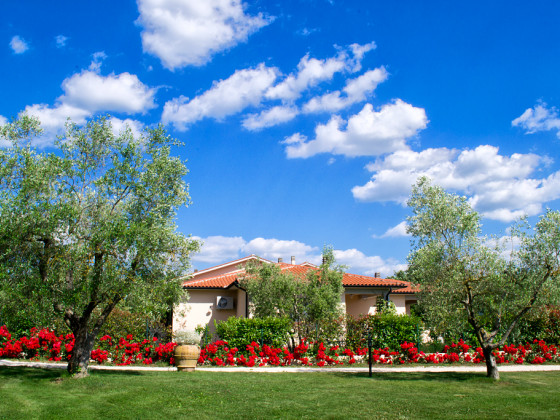 poggio degli olivi green houses saturnia