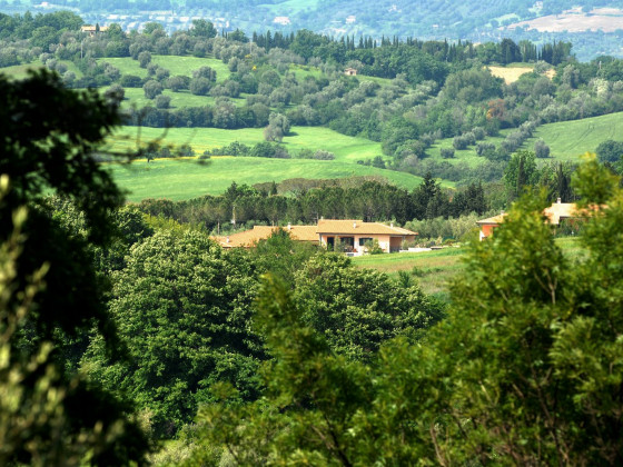 poggio degli olivi green houses saturnia