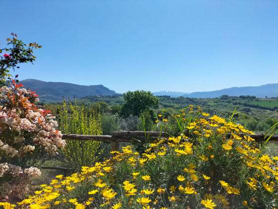 poggio del sole