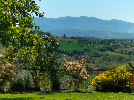 poggio del sole