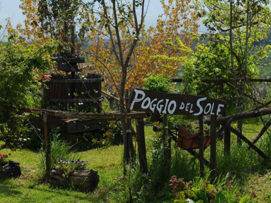 poggio del sole