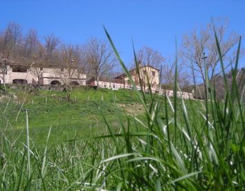 Ferienbauernhof La Carbonaia - Vicchio