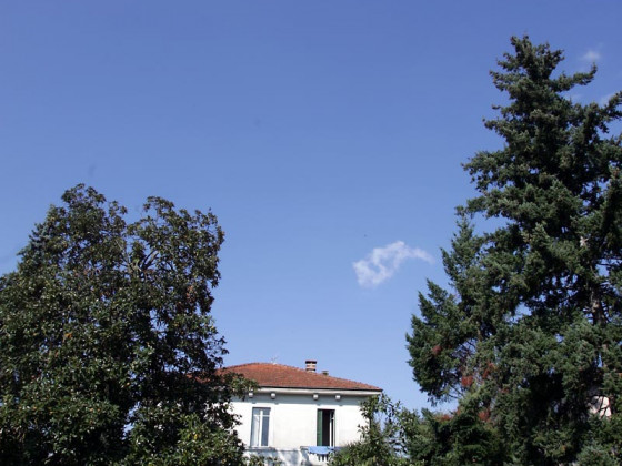 villa magnolia