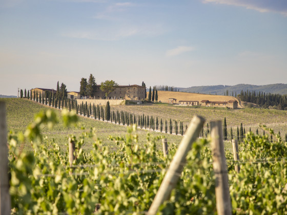 casale dello sparviero