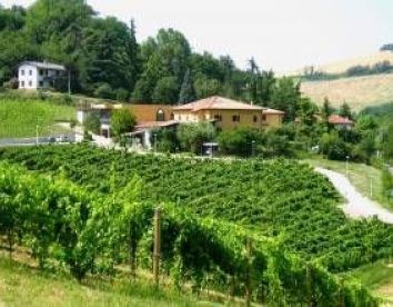 Agriturismo Borgo Delle Vigne - Zola Predosa