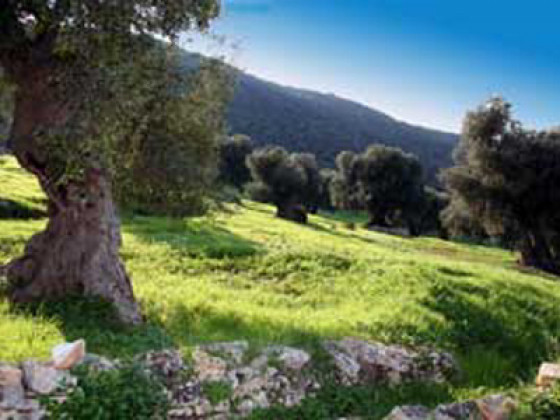 masseria morrone