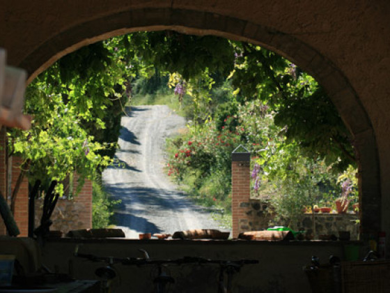 podere fonte martino