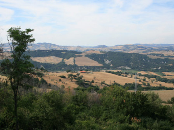 podere fonte martino