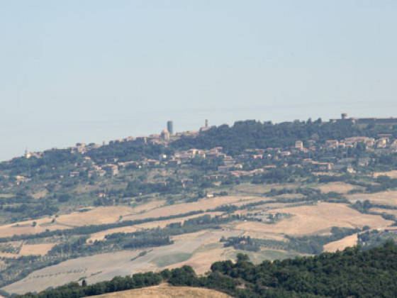 podere fonte martino