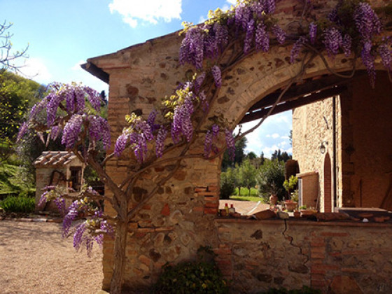 podere fonte martino