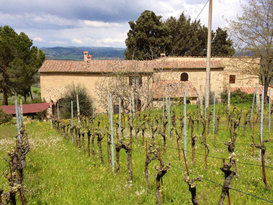 podere fonte martino