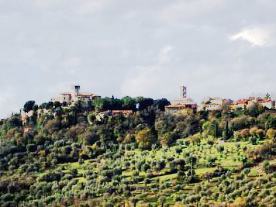 san leonardo