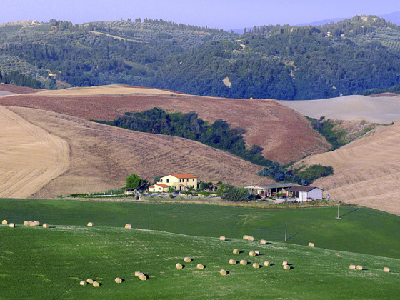 biologico bellaria