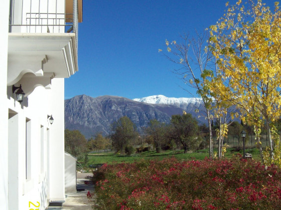 locanda dell'asino d'oro