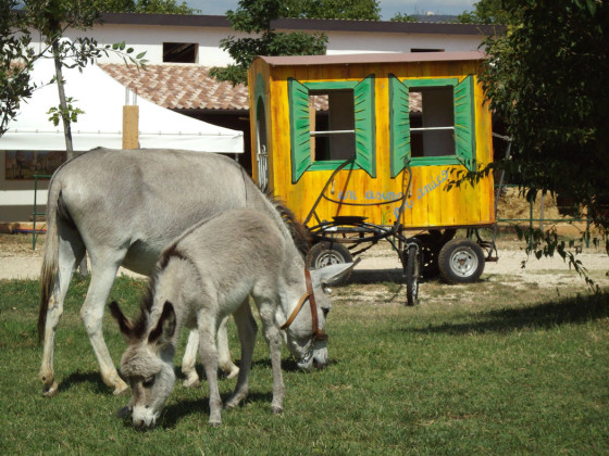 locanda dell'asino d'oro