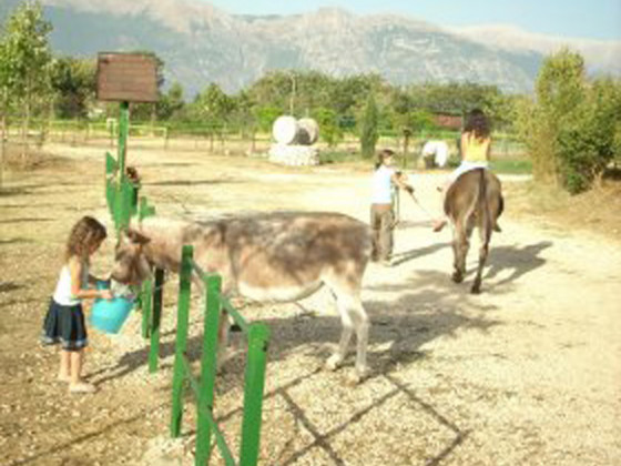 locanda dell'asino d'oro