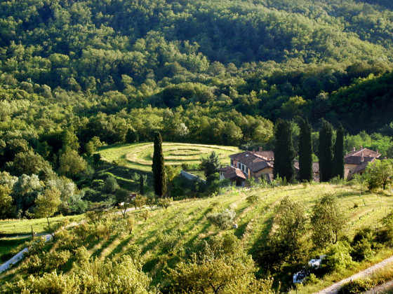 oasi di galbusera bianca