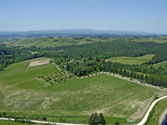 fattoria di vegi