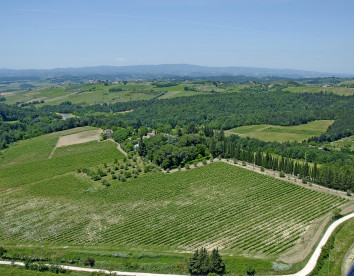 fattoria di vegi foto 12