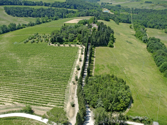 fattoria di vegi