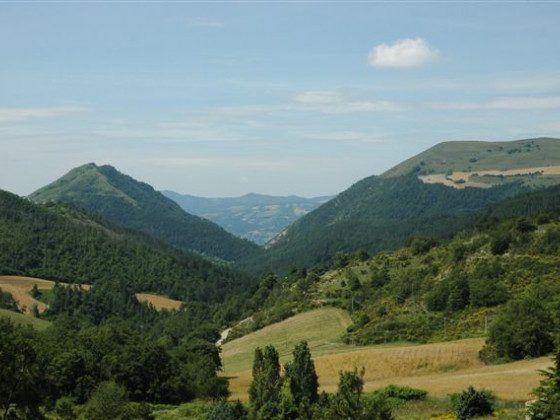 valle verde