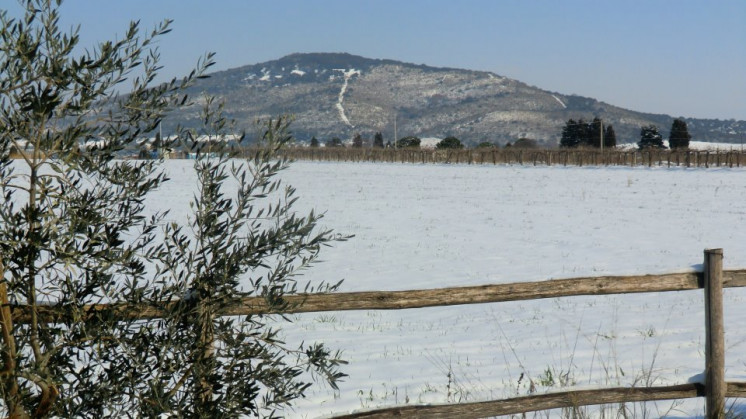 monte alzato