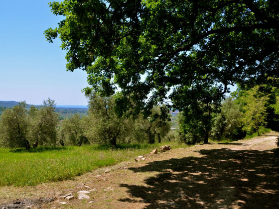 fonte di foiano