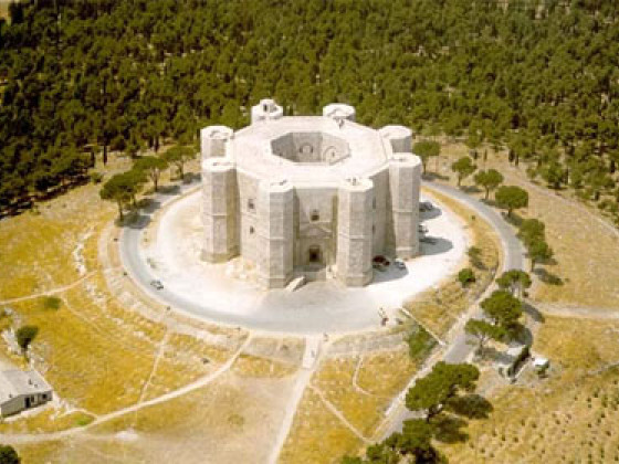 il pino grande - masseria citulo