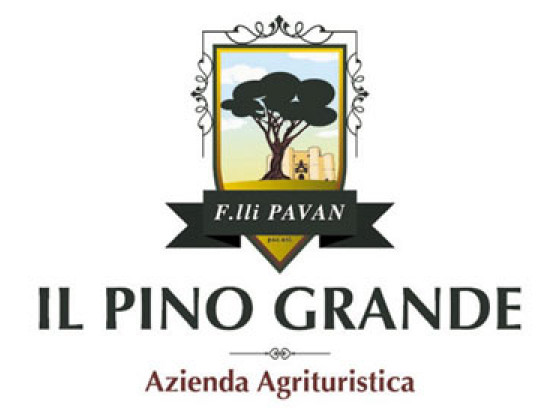 il pino grande - masseria citulo