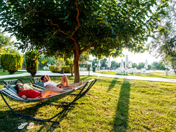 il giardino degli ulivi