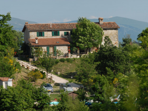 il palazzetto