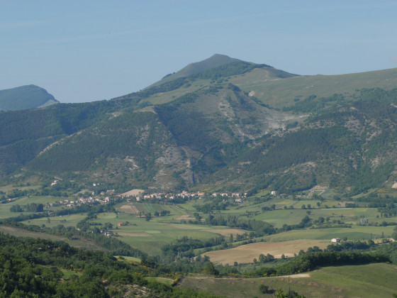 il palazzetto