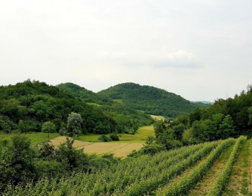 cascina zenevrea