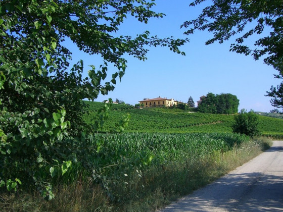 tenuta la romana