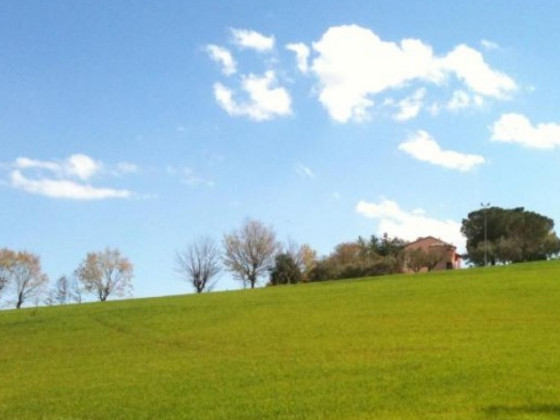 casale il gallo bianco