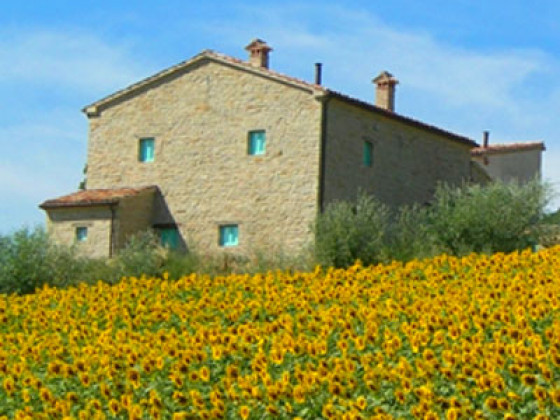 fattoria fontegeloni