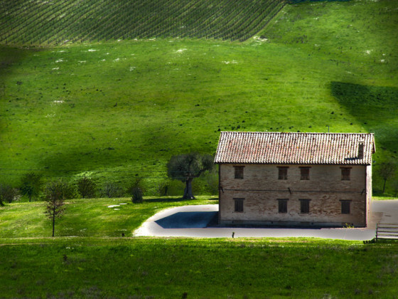 fattoria forano