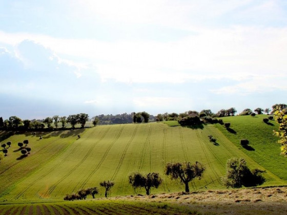 fattoria forano