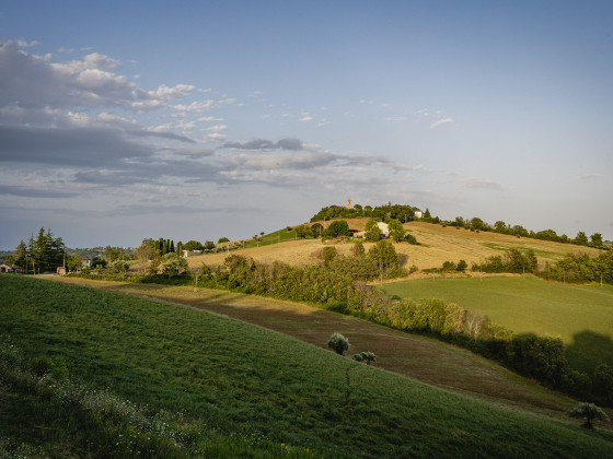 colle regnano