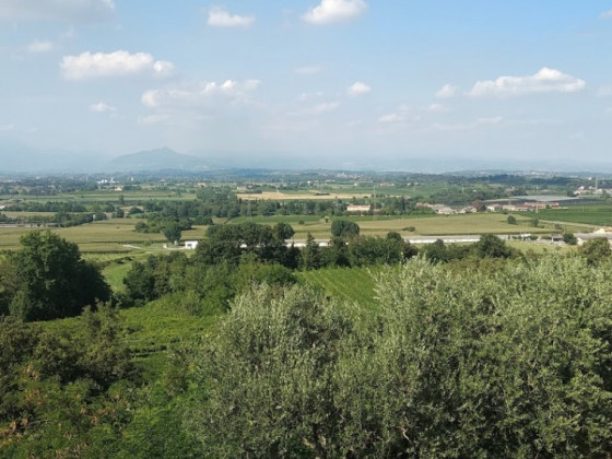 monte vento