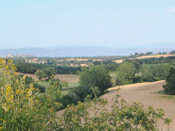 poggio bellavista