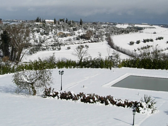 poggio bellavista