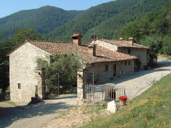 casa degli ulivi