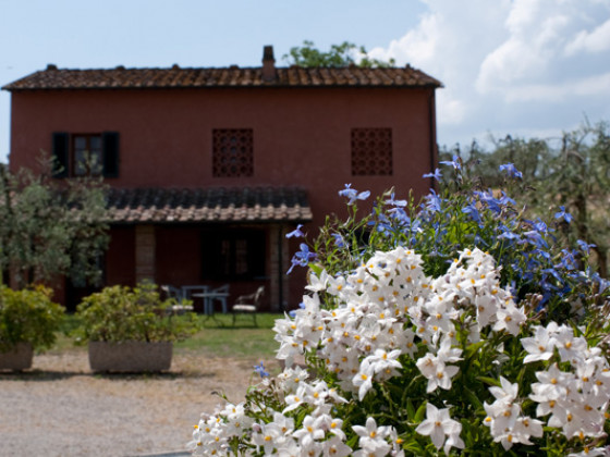 fattoria primavera