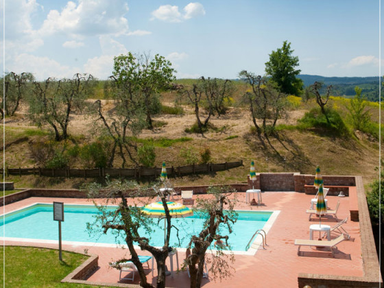 fattoria primavera