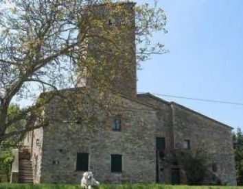 tenuta di fiore