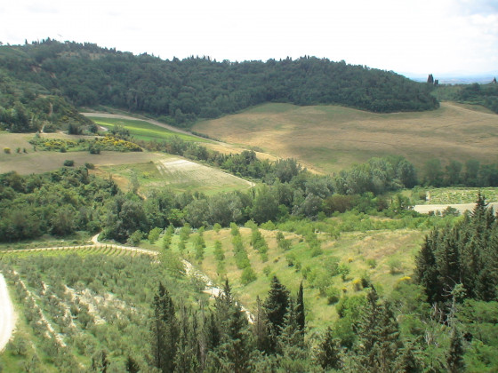 poggio ai monti