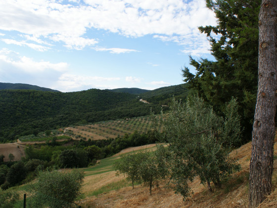 la corte dei banchetti