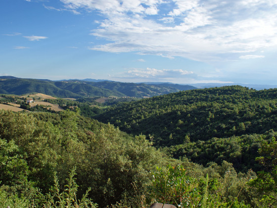 la corte dei banchetti