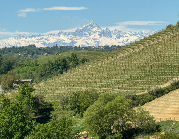 le querce del vareglio foto 8